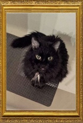 Willow Keefe 2004-2018